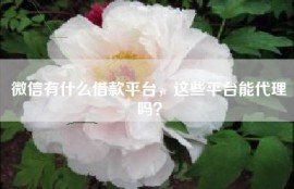 微信有什么借款平台，这些平台能代理吗？