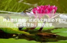 网上借钱被拒，试试几个网贷必下款口子贷款平台，精选分享