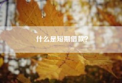 什么是短期借款？