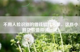 不用人脸识别的借钱软件名单，这些小额贷款值得试一试！