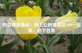 网贷精选盘点：网上公积金贷款APP一览表，必下名单