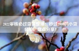 2022审核必过贷款整理：秒过2000的小贷名单，盘点分享！