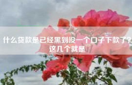 什么贷款是已经黑到没一个口子下款了？这几个就是