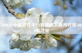 5000元小额借钱平台有哪些？急用钱借5000看这里