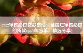 2022审核必过贷款整理：征信烂审核必过的贷款app2022名单，精选分享！