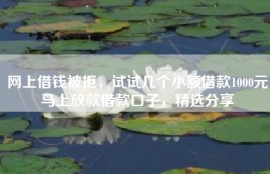 网上借钱被拒，试试几个小额借款1000元马上放款借款口子，精选分享