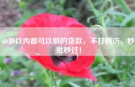 60岁以内都可以做的贷款，不打回访，秒批秒过！