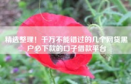 精选整理！千万不能错过的几个网贷黑户必下款的口子借款平台
