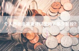 个人养老金基金可以买吗？多少起投？