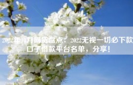 2022年10月网贷盘点：2022无视一切必下款口子借款平台名单，分享！