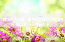 网贷名单一览，黑户什么软件可以借到钱贷款app，精选分享