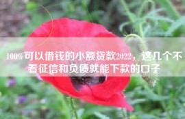 100%可以借钱的小额贷款2022，这几个不看征信和负债就能下款的口子