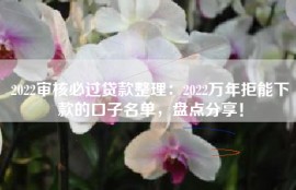 2022审核必过贷款整理：2022万年拒能下款的口子名单，盘点分享！