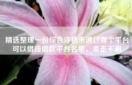 精选整理一份综合评估未通过哪个平台可以借钱借款平台名单，拿走不谢