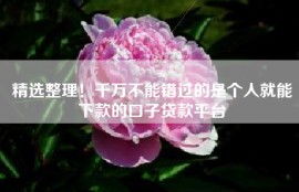 精选整理！千万不能错过的是个人就能下款的口子贷款平台