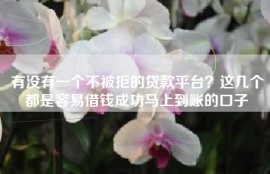 有没有一个不被拒的贷款平台？这几个都是容易借钱成功马上到账的口子