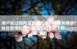 黑户能过的网贷有哪些借款平台有哪些？精选整理的几个盘点黑口子必下款app2022借款软件