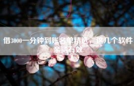 借3000一分钟到账名单精选，这几个软件亲测有效