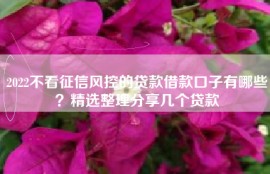 2022不看征信风控的贷款借款口子有哪些？精选整理分享几个贷款