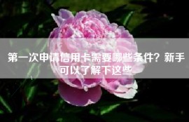 第一次申请信用卡需要哪些条件？新手可以了解下这些