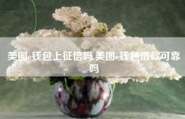 美图e钱包上征信吗,美图e钱包借款可靠吗