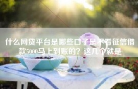 什么网贷平台是哪些口子是不看征信借款5000马上到账的？这几个就是