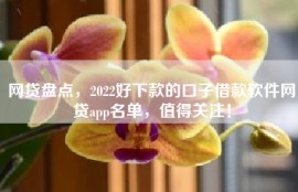 网贷盘点，2022好下款的口子借款软件网贷app名单，值得关注！
