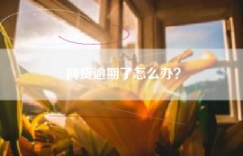 网贷逾期了怎么办？