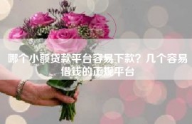 哪个小额贷款平台容易下款？几个容易借钱的正规平台
