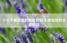 十大不看征信的秒批贷款,不查征信的小额网贷