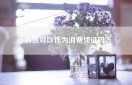 转账可以作为消费凭证吗？