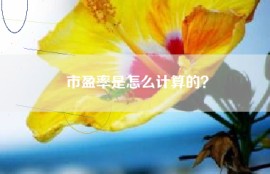 市盈率是怎么计算的？