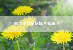 哪个平台贷款快容易通过?
