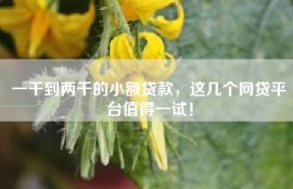 一千到两千的小额贷款，这几个网贷平台值得一试！