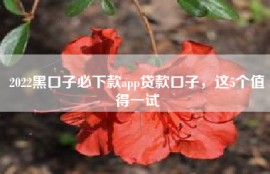 2022黑口子必下款app贷款口子，这5个值得一试