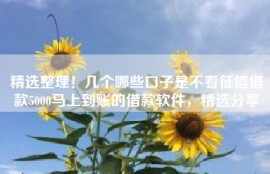 精选整理！几个哪些口子是不看征信借款5000马上到账的借款软件，精选分享