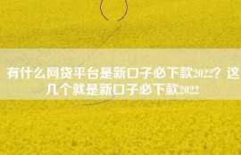 有什么网贷平台是新口子必下款2022？这几个就是新口子必下款2022