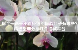 借个一两千不看征信的借款口子有哪些？精选整理分享几个借款平台