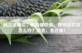 网贷逾期后，收到催收函、律师函后该怎么办？别急，看这里！