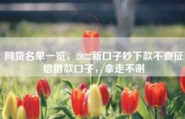 网贷名单一览，2022新口子秒下款不查征信借款口子，拿走不谢