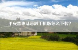 平安普惠陆慧融手机版怎么下载？