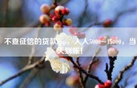 不查征信的贷款app，人人5000~15000，当天到账！