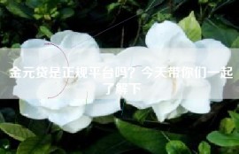 金元贷是正规平台吗？今天带你们一起了解下