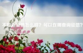 不知道征信怎么样？可以在哪查询征信？