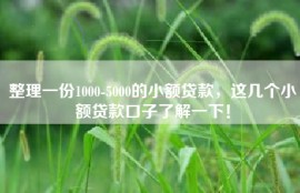 整理一份1000-5000的小额贷款，这几个小额贷款口子了解一下！