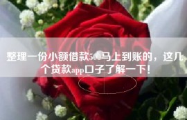 整理一份小额借款500马上到账的，这几个贷款app口子了解一下！