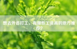 想去外省打工，有哪些工资高的地方推荐？