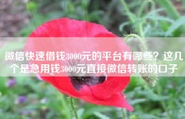 微信快速借钱3000元的平台有哪些？这几个是急用钱3000元直接微信转账的口子