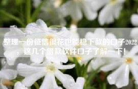 整理一份征信很花也能稳下款的口子2022，这几个借款软件口子了解一下！
