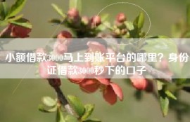 小额借款3000马上到账平台的哪里？身份证借款3000秒下的口子